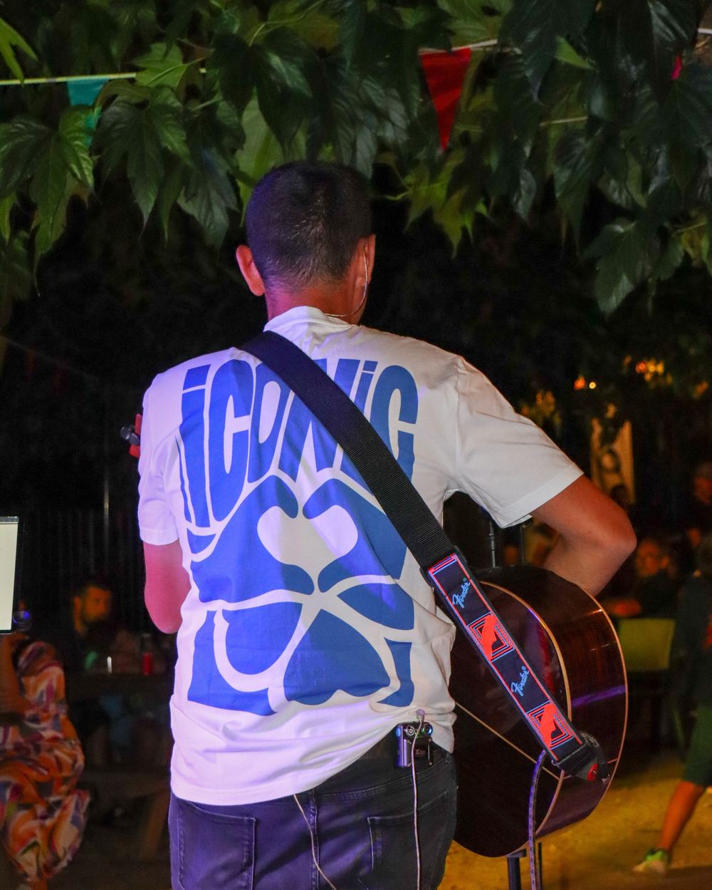 Guitariste de dos lors d’un concert en soirée